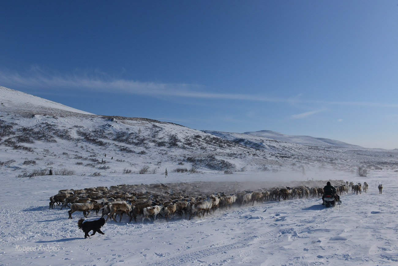 Yamal (Ямал)